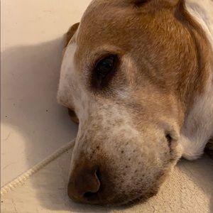 Meet your Posher, Bradley